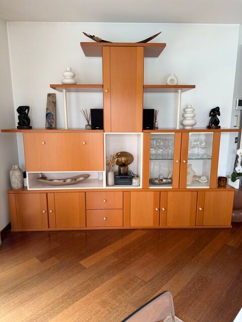 AV meubles buffet Ligne Roset 400 Lescar (64)