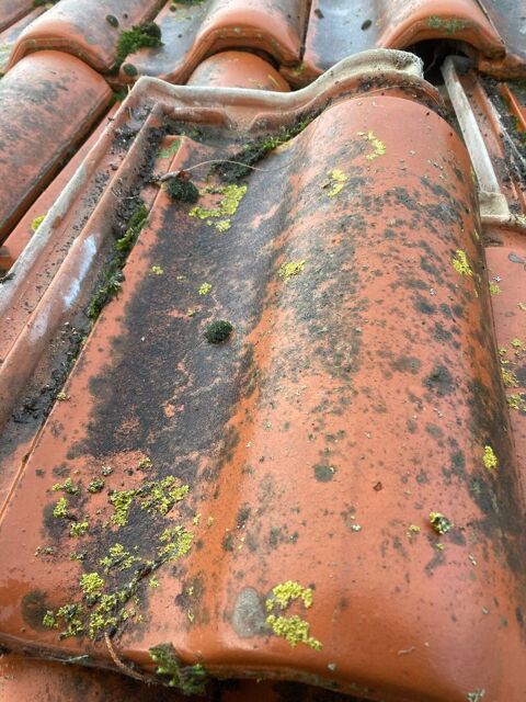 Recherche Tuiles marennaise St. Agnan 0 Saint-Denis-d'Ol�ron (17)