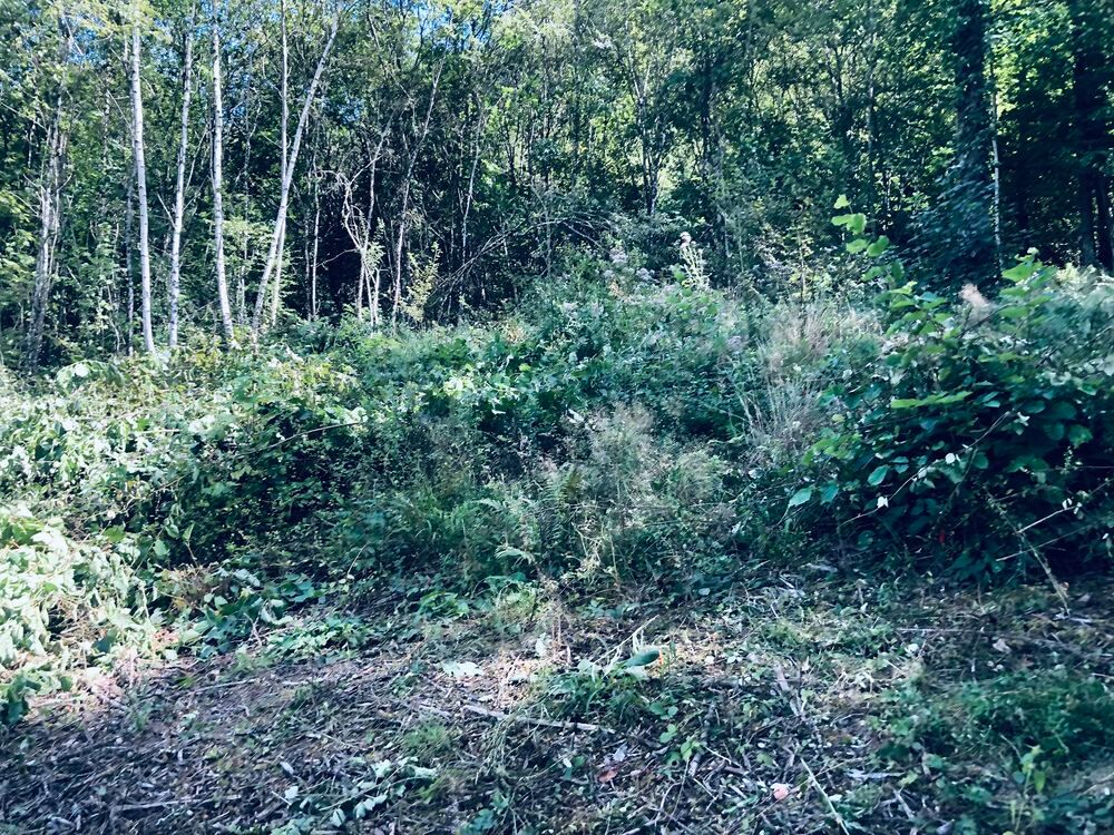 Vente Terrain TERRAIN SUR LES HAUTEURS D'ORNANS AU CALME Ornans