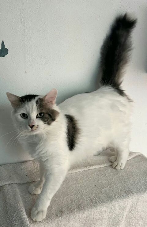 ADEL 220 27620 Gasny