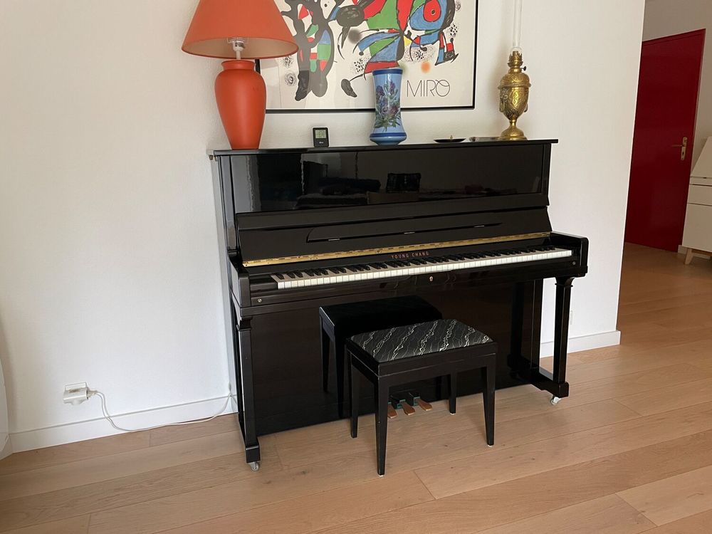 Piano Young Chang Mod&egrave;le E118 Instruments de musique