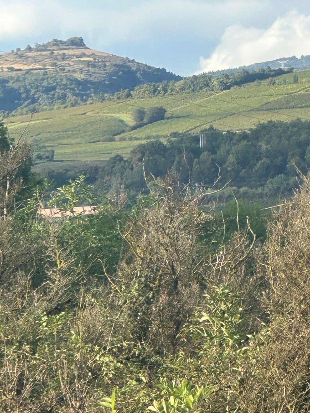  vendre  Maison Priss (71960)