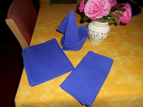 Serviette bleu �lectrique 2 Monflanquin (47)