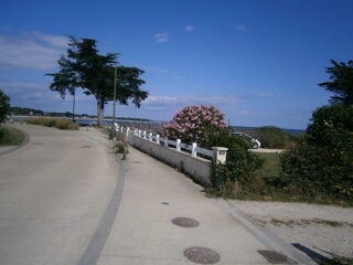  Appartement � vendre 2 pi�ces 31 m�