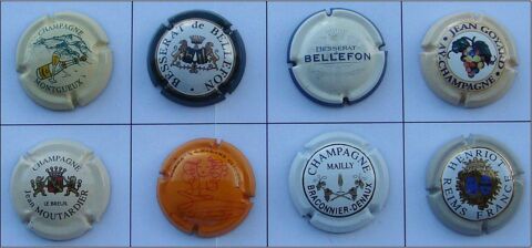 Lot n� 3 - 8 Capsules de Champagne en bon �tat : 7 Montgeron (91)