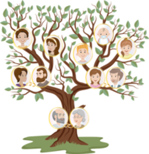   Généalogie / Recherches généalogique 