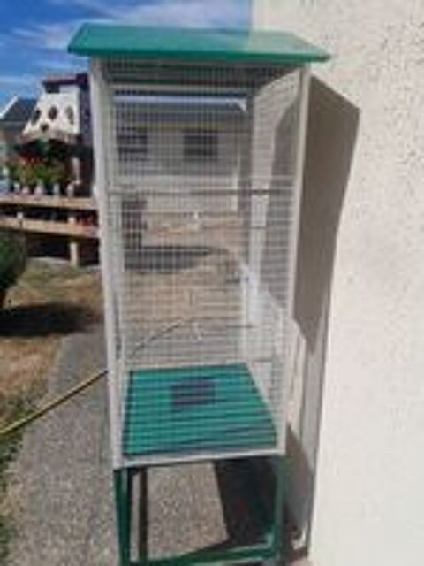   Accessoires oiseaux  