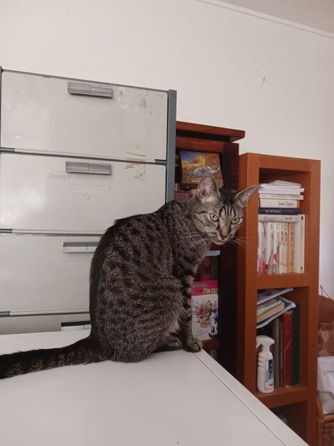 TARA 210 92400 Courbevoie