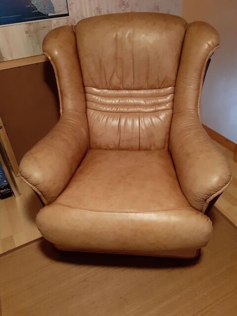 FAUTEUIL EN CUIR 30 Challans (85)