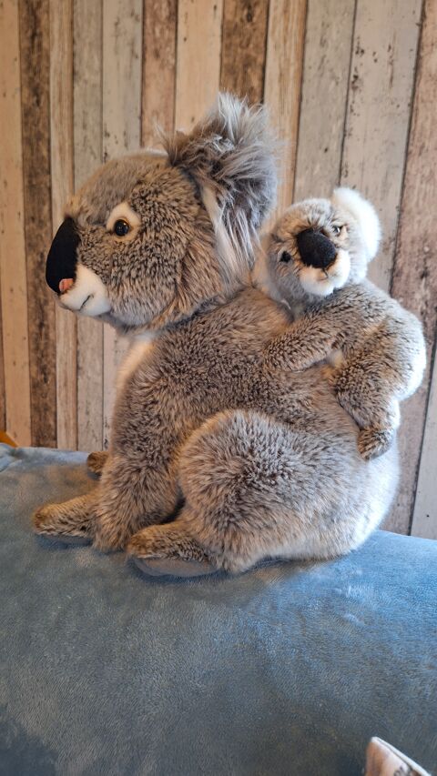 Belle peluche  koala  et son bebe 18 Hondainville (60)