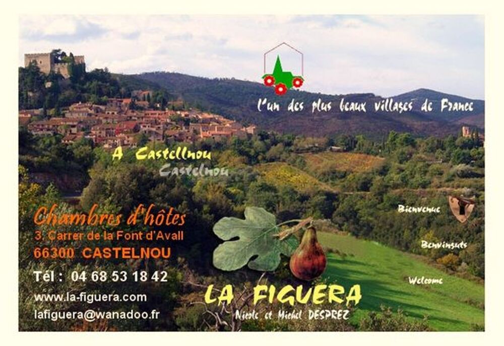 Vente Maison Maison d'Hôtes dans un plus beau village de France Castelnou