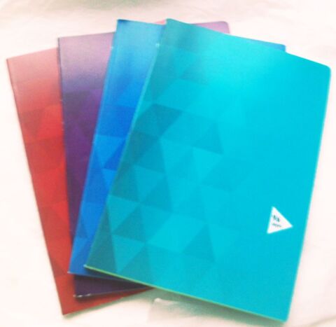 Lot de 4 cahiers A4, 96 pages, grands carreaux, 90 g 5 Villeurbanne (69)