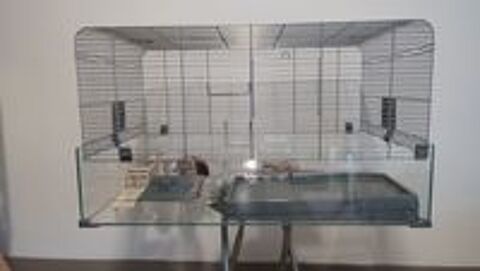   Cage pour hamster+accessoires  