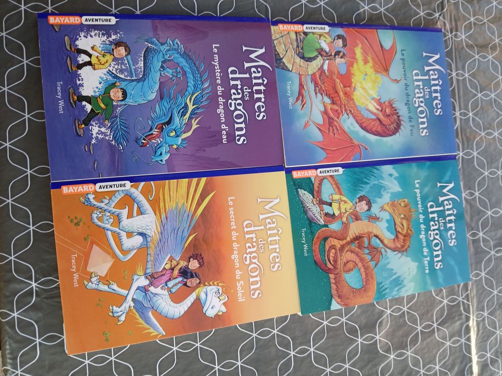 MA&Icirc;TRES DES DRAGONS Livres et BD