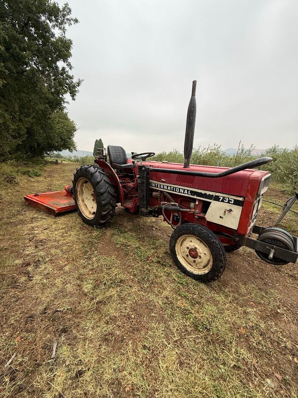 Vente Terrain propriété agricole oliveraie Estagel