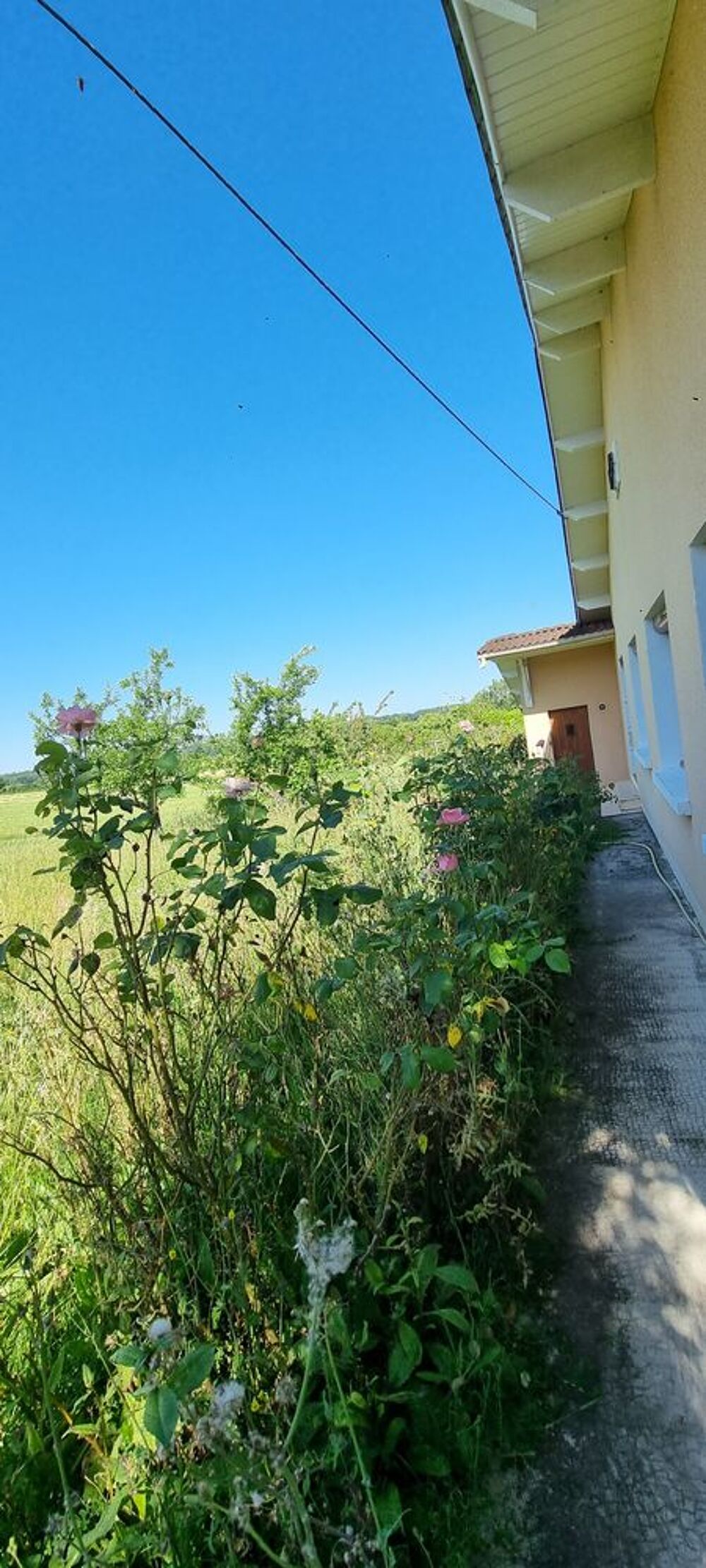 Vente Maison Maison de plain pied très bon état Lannes
