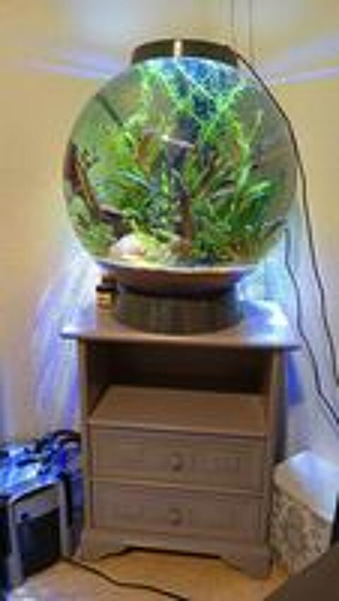   Biorb 60 litres quip d'une pompe externe JBL et de led  