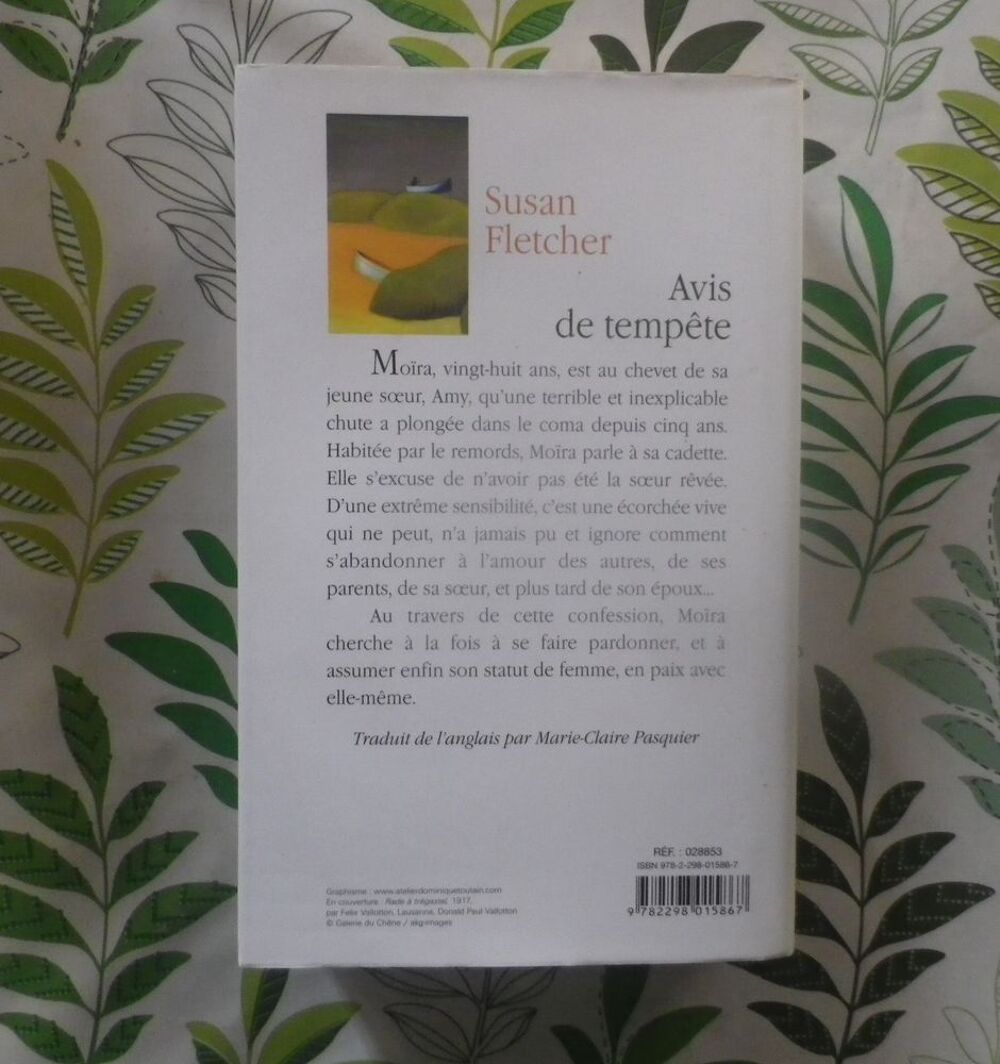 AVIS DE TEMPETE de Susan FLETCHER Ed. France Loisirs Livres et BD