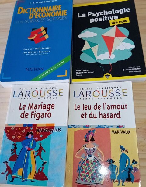 4 Livres   Dictionnaire, Larousse et Psychologie   4 Saint-Dizier (52)