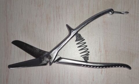 Cisaille 10 Metz (57)