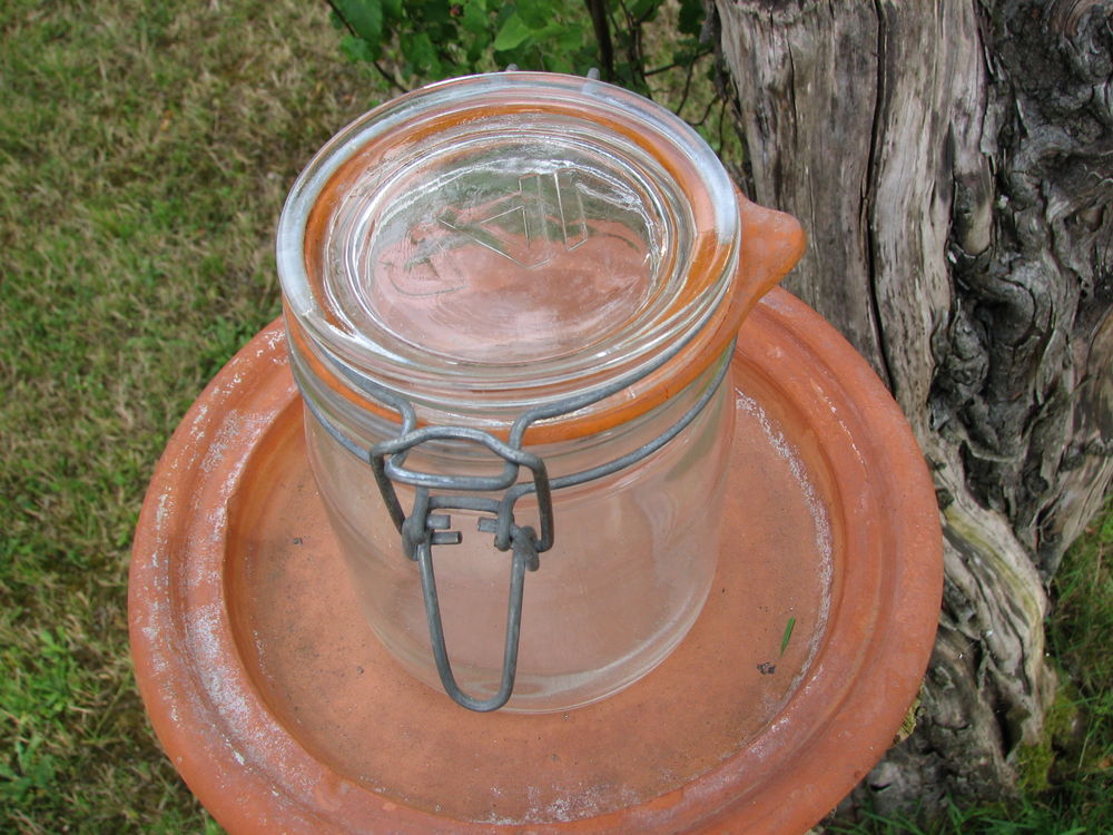 BOCAUX-BOCAL-LOT DE BOCAUX-Bocaux de conserve Cuisine