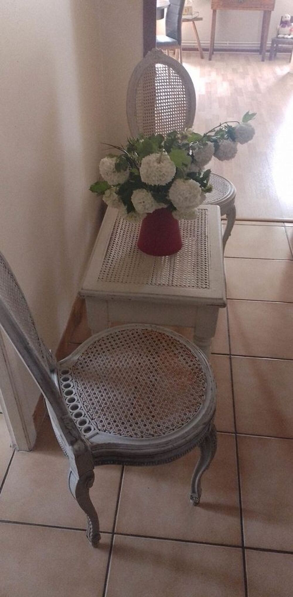 SALON A RENOVER Meubles