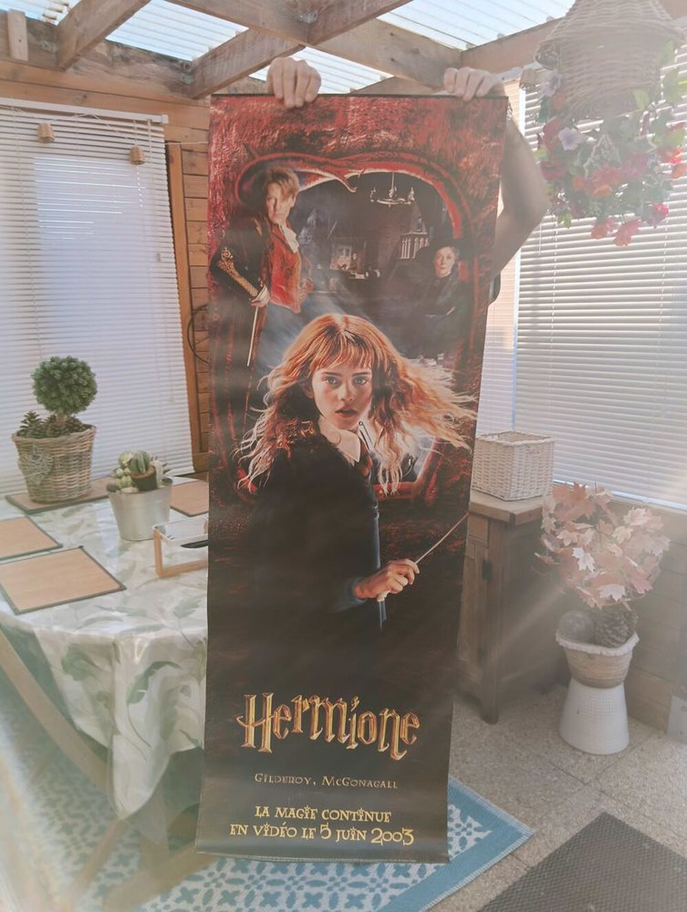 affiche Harry Potter 