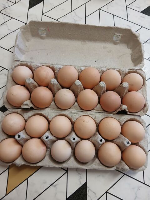 Oeufs de poule et de canettes 2 89250 Beaumont