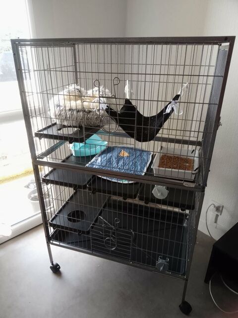 Grande cage pour furet  100 65000 Tarbes