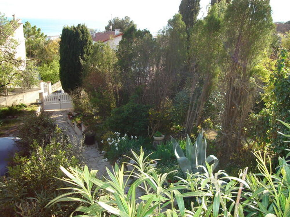   Ste  saint clair studio 25m + terrasse 6m dans proprit Languedoc-Roussillon, Ste (34200)