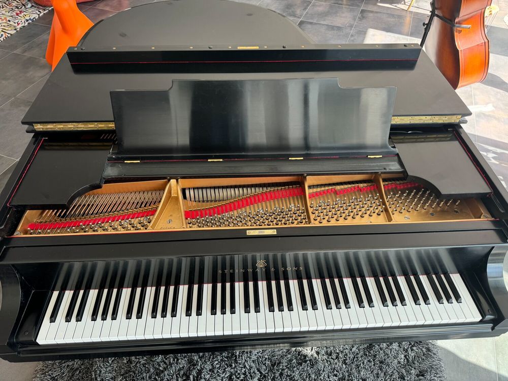 Piano Steinway &amp; Sons (Mod&egrave;le M) Instruments de musique