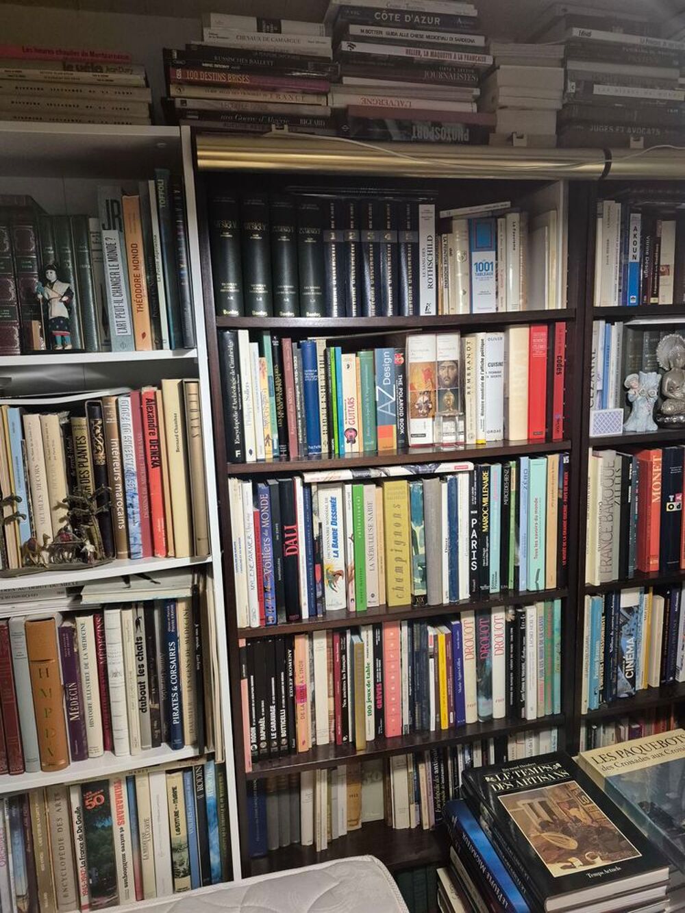 3500 bon livres anciens et modernes divers Livres et BD