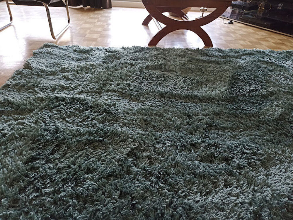 Beau tapis salon jolie couleur verte. Décoration