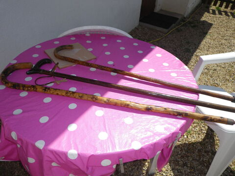 cannes anciennes 12 Dijon (21)