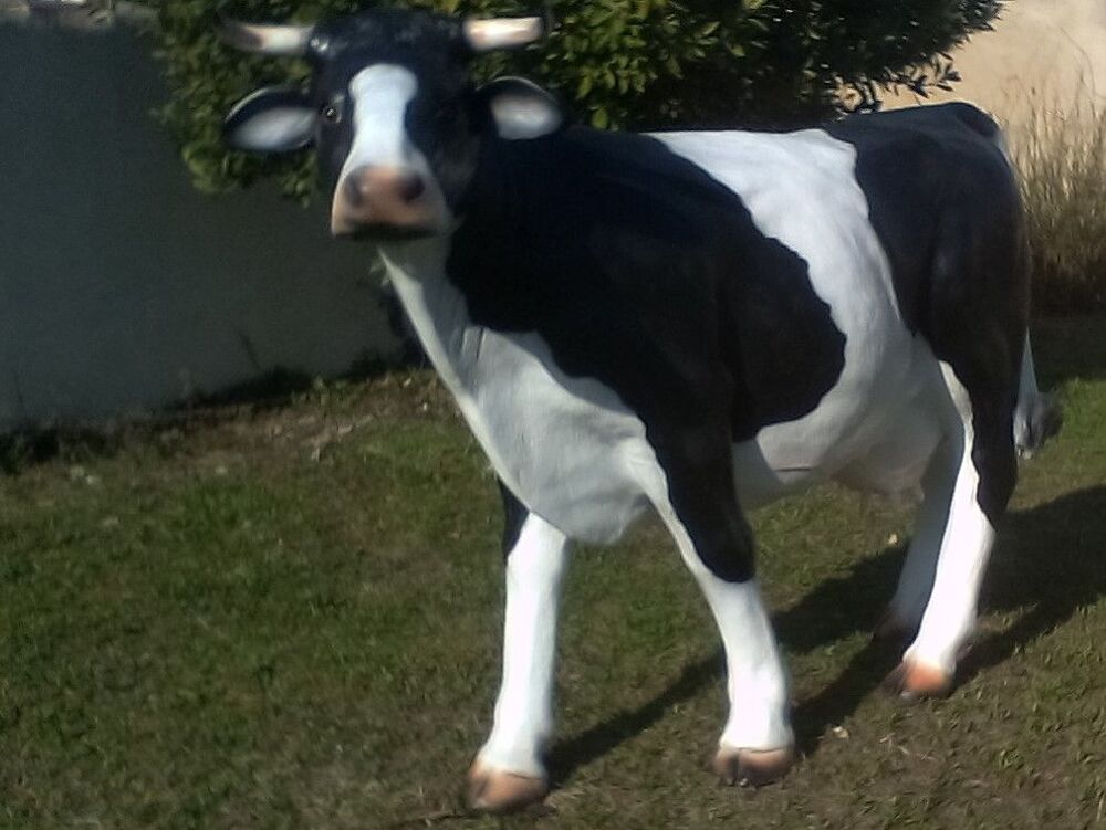 vache avec son veau Jardin
