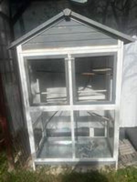   volire pour perruches 