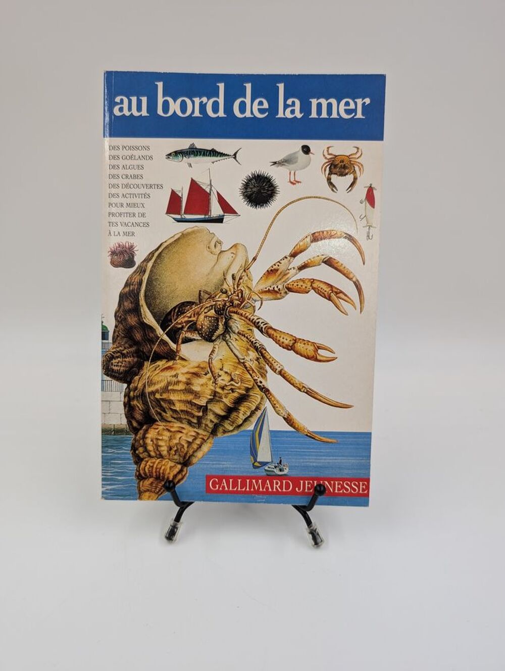 Livre Au Bord de la Mer (Gallimard Jeunesse) Livres et BD