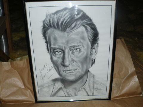 tableaux de Johnny halliday 100 Saint-Germain-sur-�cole (77)