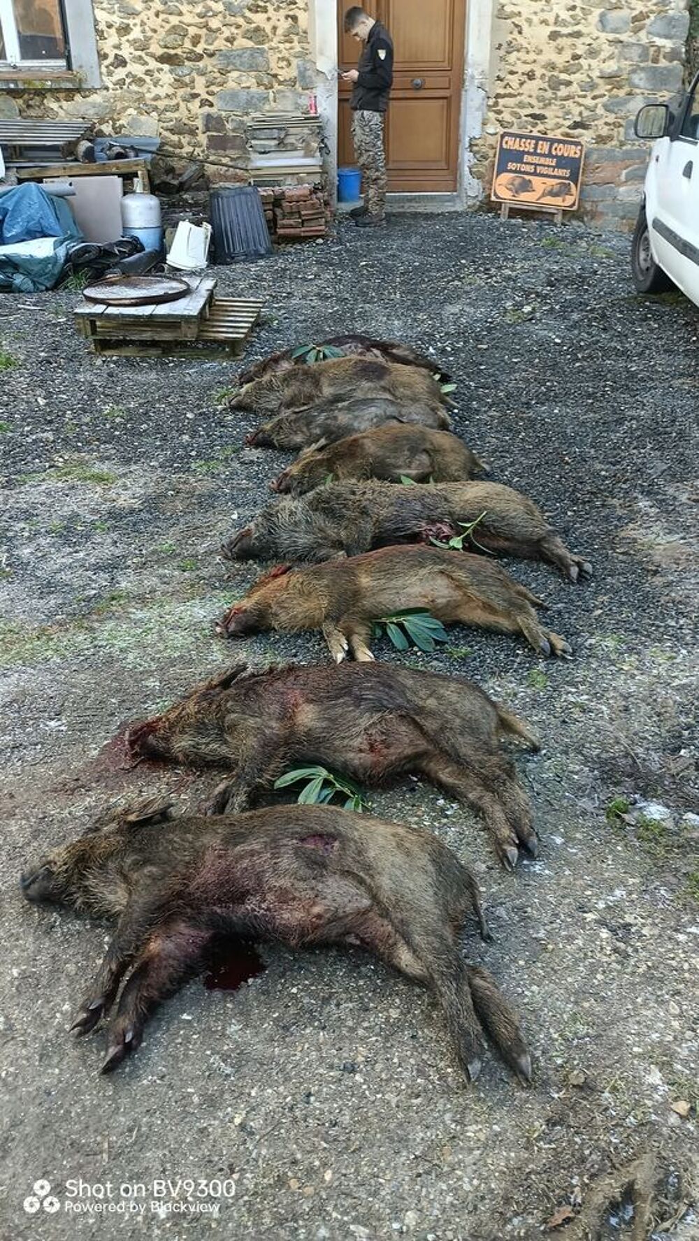 Action de Chasse Sports