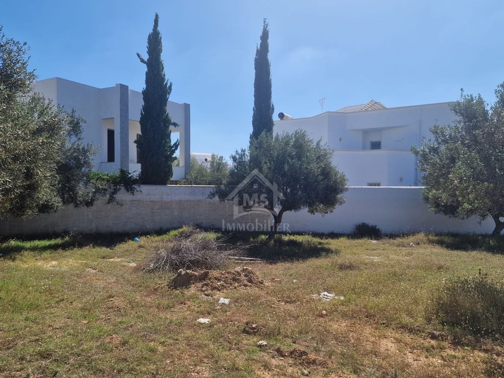 Vente Terrain Terrain constructible de 250 m² à Mrezga 51355351 Mrezga, tunisia (Tunisie)