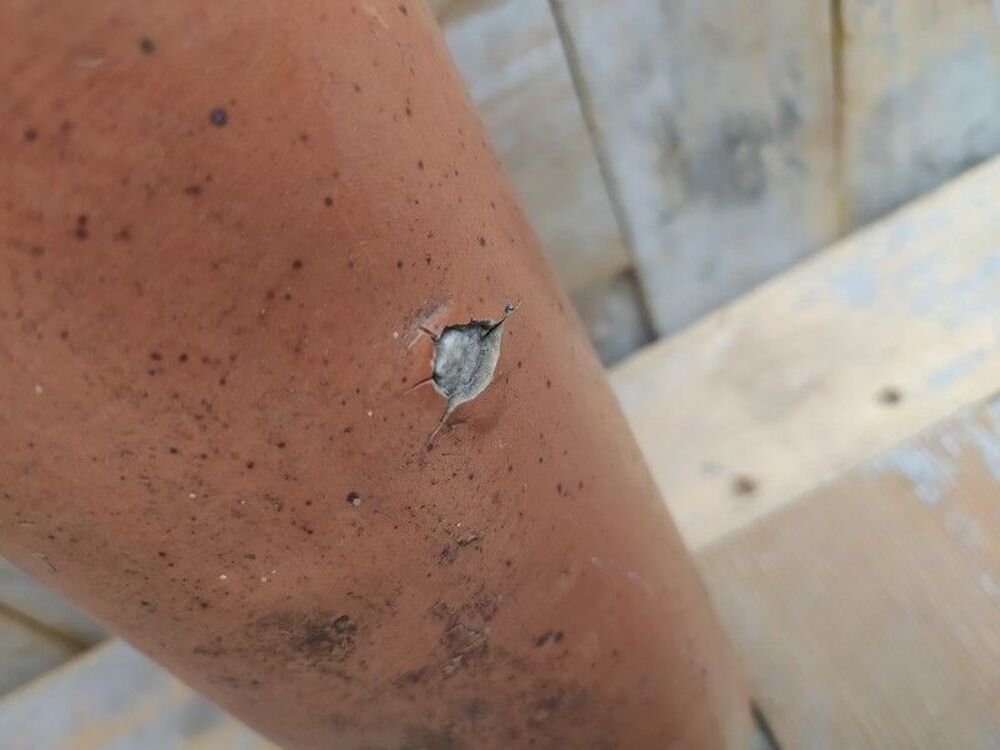 Bouteille Gr&egrave;s Emser Kr&auml;nchens Wasser Allemagne XIX&egrave;me Décoration