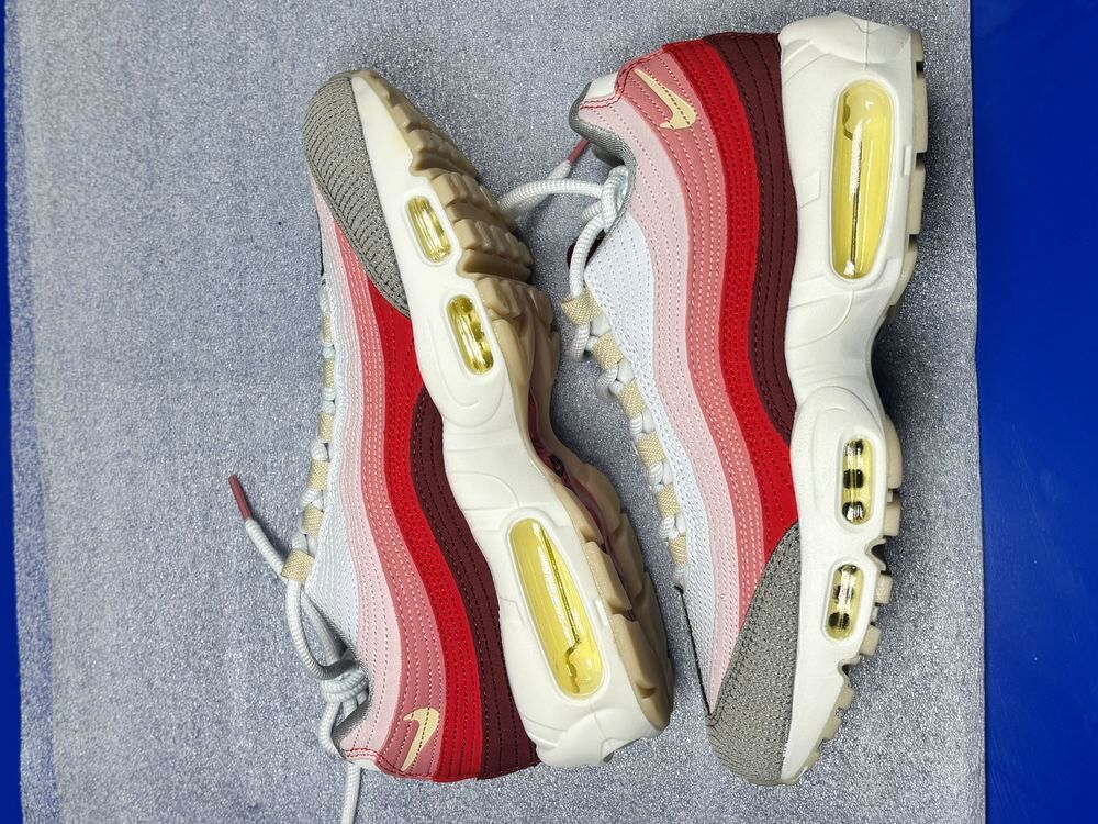 Nike air Max 95 anatomy of air Chaussures