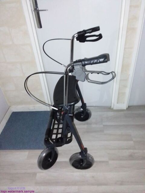 Pousseur 4 roeus Dracy (89)