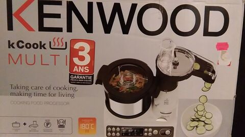 ROBOT CUISEUR KENWOOD 250 Grenade (31)