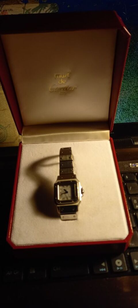 MONTRE CARTIER SANTOS 0 Trieux (54)