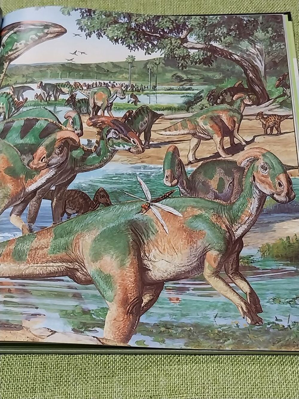 Dinosaures livre l'univers fascinant des animaux Christopher Livres et BD