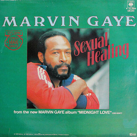 45T, 30cm - Marvin Gaye - Sexual Healing Maxi Single
11 Sainte-Geneviève-des-Bois (91)
