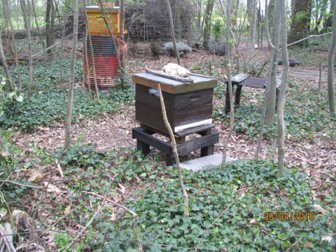ruche dadant 10 Cadres peuplée 130 45120 Corquilleroy