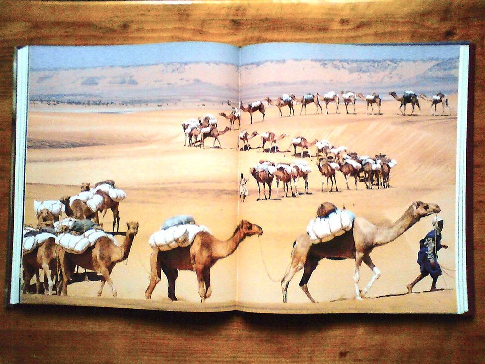 LIVRE MAURITANIE VILLES DE SABLES + AFRIQUE FAUVE Livres et BD