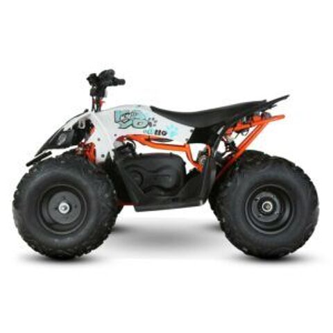 Quad Quad 2025 occasion Montpellier 34070